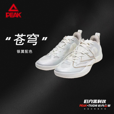 匹克态极苍穹篮球鞋男实战运动鞋