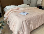 高档60木本提花抗菌大豆被夏被芯春秋被冬被柔软舒适细腻