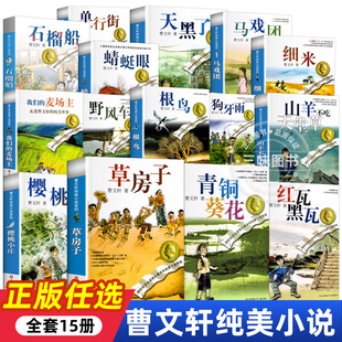 【官方正版】曹文轩纯美小说系列任选 青铜葵花草房子根鸟细米石榴船 五年级江苏少儿出版社人教版六年级上册青少版儿童文学