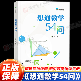 数学计算技巧 青少年数学思维训练 解题方法与技巧初中数学教程 初中通用二进制数怎么转换方程函数图形教程书籍 想通数学54问
