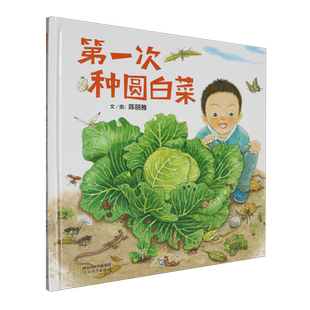 BK第一次种圆白菜（新）