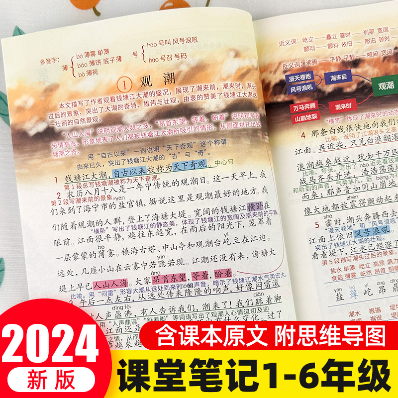 2024新版课堂笔记一二三四五六年级上下册语文数学英语人教版小学随堂课本同步讲解教材全解读书贴状元大七彩黄冈学霸辅导资料预习 书籍/杂志/报纸 小学教辅 原图主图