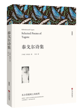 泰戈尔诗集诗选正版飞鸟集