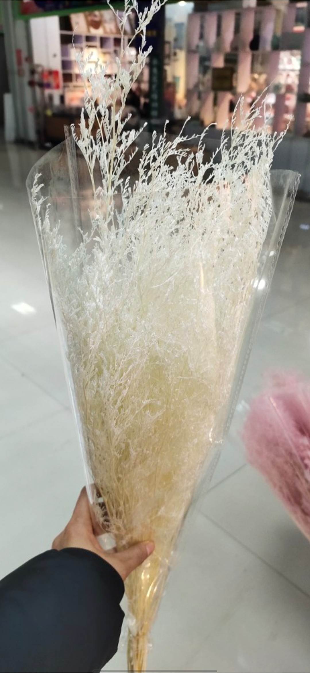 情人草干花永生花情人草漂色情人干花/花瓣/干花包/
