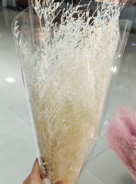情人草干花永生花情人草漂色情人草花艺插花花束造型DIY花材昆明