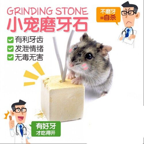磨牙石 仓鼠兔子荷兰猪龙猫磨牙石 小磨牙石T003A