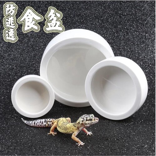 爬虫守宫蜥蜴食盆防逃逸爬宠鬃狮蜘蛛饲养箱活面包虫杜比亚陶瓷