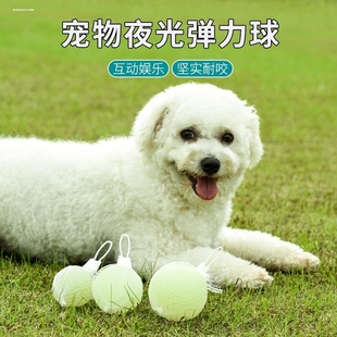 狗狗发光弹力球耐咬自嗨玩具球宠物泰迪法斗金毛自嗨玩具三色球