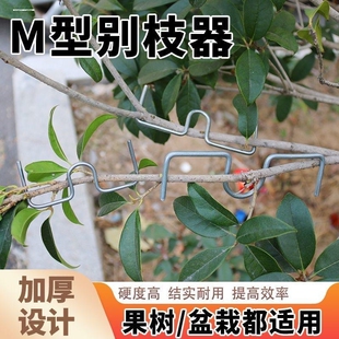 果树压枝神器M型拉枝定型器拉枝定型压弯枝条固定器别枝器树枝W型