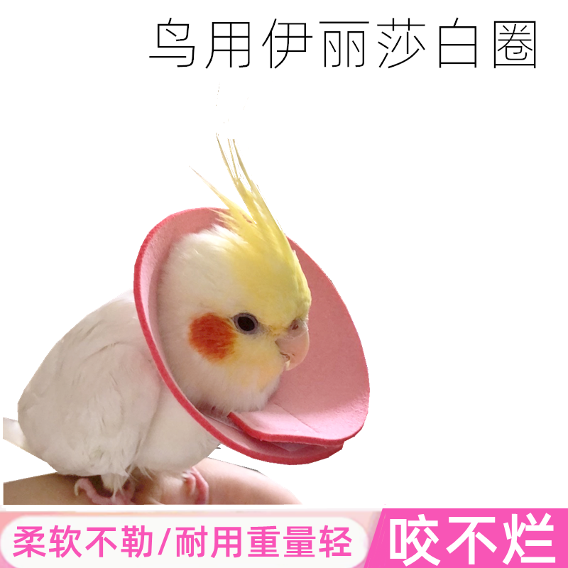 玄凤鹦鹉伊丽莎白圈受伤保护项圈牡丹虎皮防啄毛鸟用防咬毛脖套
