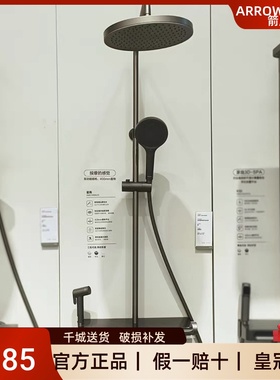 箭牌门店同款AMG14S862SGGW枪灰色星雨淋浴花洒套装钢琴按键