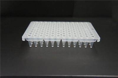 议价0.1ml/0.2ml定量PCR96孔酶标荧光透明半群边PCR96孔