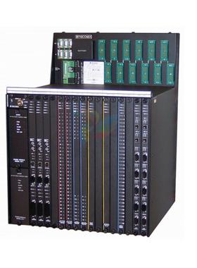 议价3708E热电偶模拟输入 TRICONEX