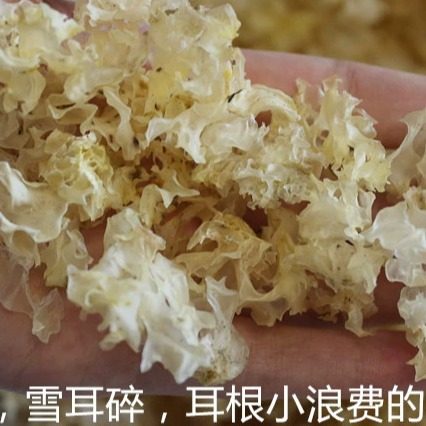 陈河雪耳银耳白木耳碎无硫