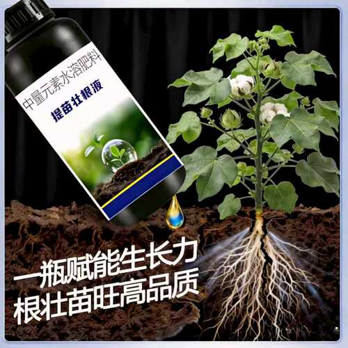 家庭肥料提苗壮根液 育苗移栽定植 根多苗壮成活高生根壮苗J