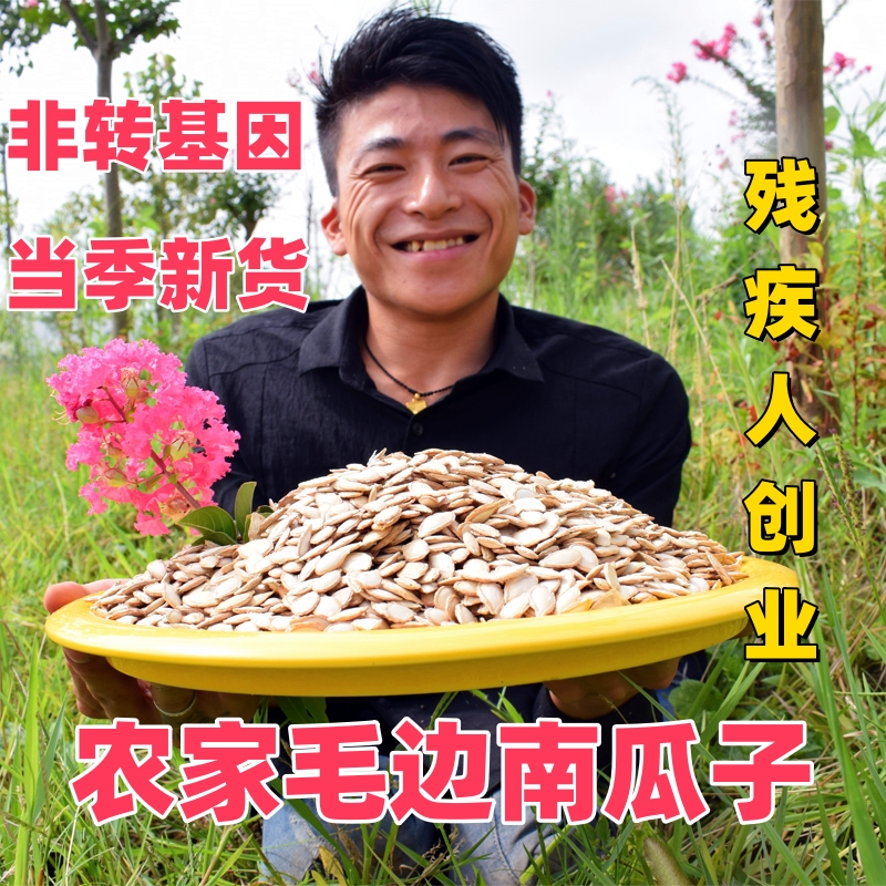 四川毛边南瓜子2025新货晒干原味生的大片土南瓜籽前列腺休闲零食