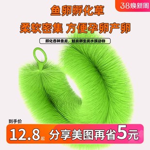 孵化草孵化毛刷锦鲤产卵草 鱼卵孵化刷金鱼繁殖水产养殖鱼巢