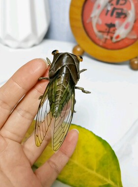 非遗草编棕编知了特色手工艺品居家摆件场景装饰创意礼品