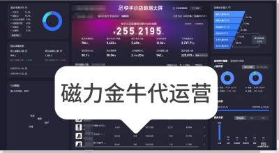 快手代运营 快手直播投流 磁力金牛开户  磁力金牛代运营投流投放