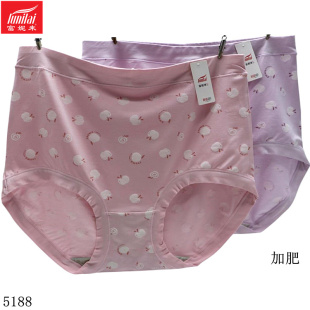 胖MM短裤 2条 印花再生纤维包臀内裤 富妮来女士加肥加大码 头薄 新款