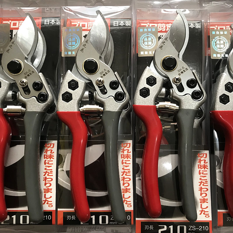 修枝园艺剪果树剪树枝进口园林