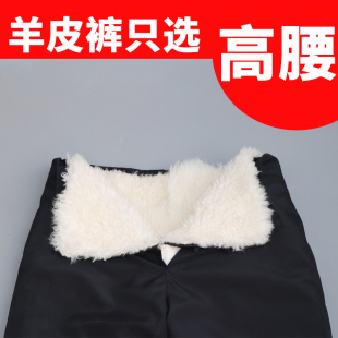 活面整张皮毛一体高腰绵羊皮裤 子保暖中老年男女 羊羔皮内胆毛皮裤