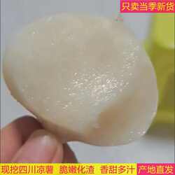 四川凉薯新鲜现挖白地瓜当季蔬菜水果番薯土瓜沙葛地梨儿地萝卜