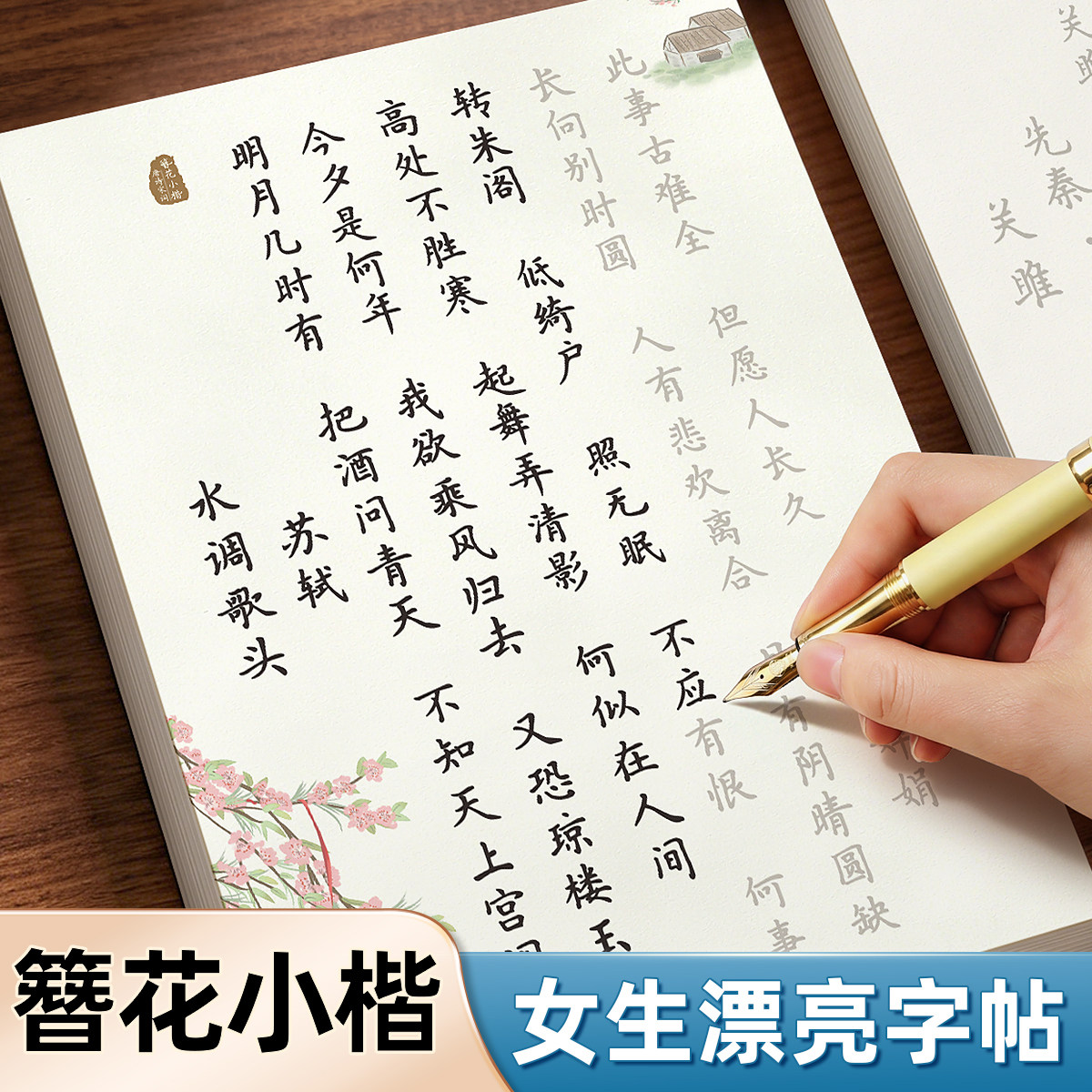 适合女生练的字帖字体漂亮簪花小楷成人静心修心解压治愈反复使用