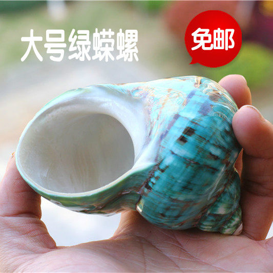 包邮天然大贝壳海螺绿蝾螺 寄居蟹甲壳卷贝鱼专用水族鱼缸装饰品