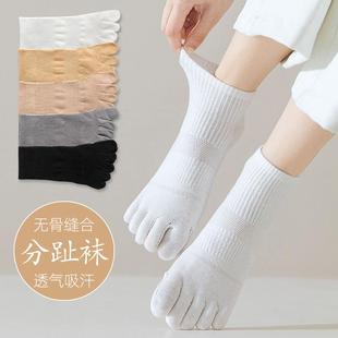 五趾袜秋冬网眼 五指袜子女士棉袜ins潮短筒袜防臭吸汗分趾袜夏季