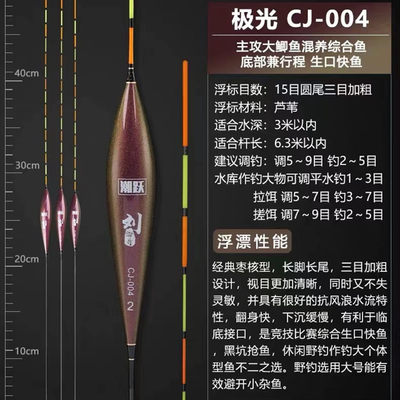 黑坑鲤鱼混养带壳芦苇行程浮漂