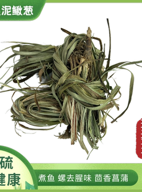 尤溪泥鳅葱新鲜山奈三奈五香草香料茴香菖蒲随手奈鲜中药材包邮