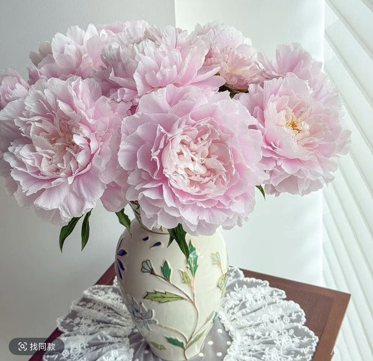 【山东大芍药种苗-种生粉】花苗芍药花芍药花根块裸根苗对版对色