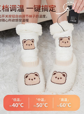 暖脚宝可拆洗女毛绒棉鞋套装