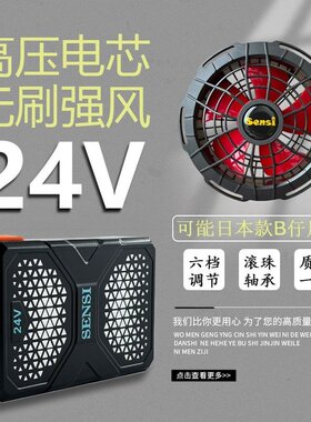 夏新款24V锂聚合物电池空调服