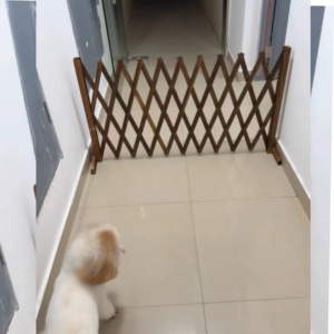 宠物围栏狗笼隔断拦狗栅栏阳台隔离门可伸缩栅栏门挡狗挡猫兔护栏
