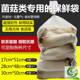 秀珍菇鸡枞菌防雾袋食用菌杏鲍菇香菇包装 袋28 48cm高透明保鲜袋