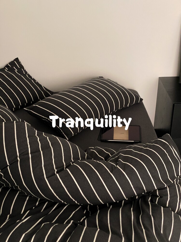 恬谧生活 全棉色织A类针织棉黑白条纯色床上四件套床单款床笠款