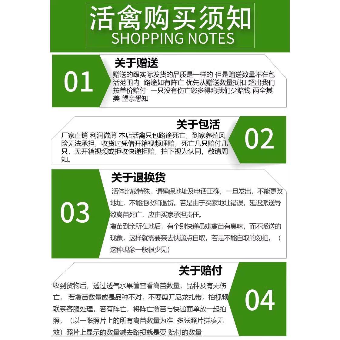火鸡苗现货大种青铜散养脱温纯种贝蒂娜小活苗火鸡活体鸡宠物,宠物/宠物食品及用品,宠物鸡,淘宝优惠券,粉丝福利购,淘宝优惠卷