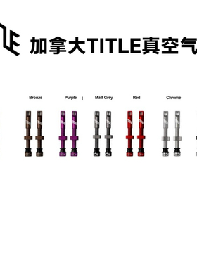 加拿大TITLE真空气嘴 Tubeless Valve  可拆卸气嘴头大进气1对2支