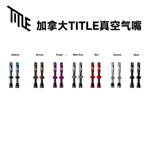 可拆卸气嘴头大进气1对2支 Valve 加拿大TITLE真空气嘴 Tubeless