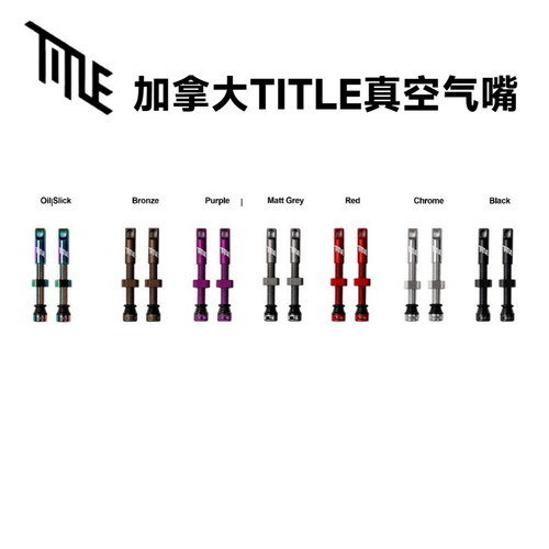 加拿大TITLE真空气嘴 Tubeless Valve  可拆卸气嘴头大进气1对2支