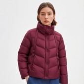 D姿 系列 95鸭绒轻盈高品质立领时尚 丽新折扣女装 保暖 羽绒服