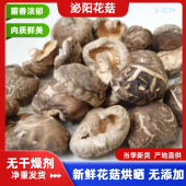 香菇新鲜干香菇泌阳花菇干货香菇野生香菇河南农家散装 干香菇冬菇