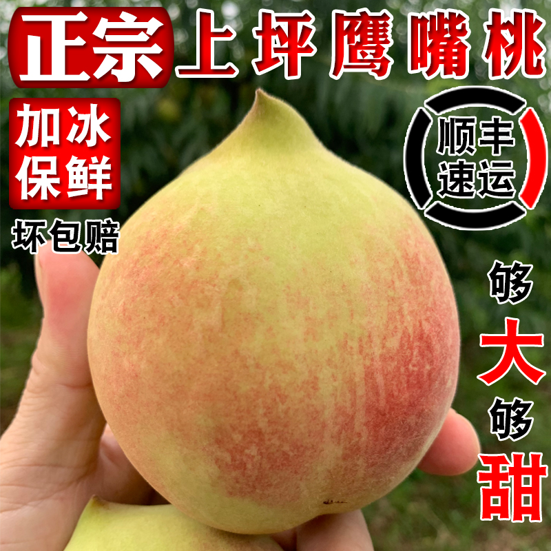 连平鹰嘴蜜桃新鲜甜脆水蜜桃时令