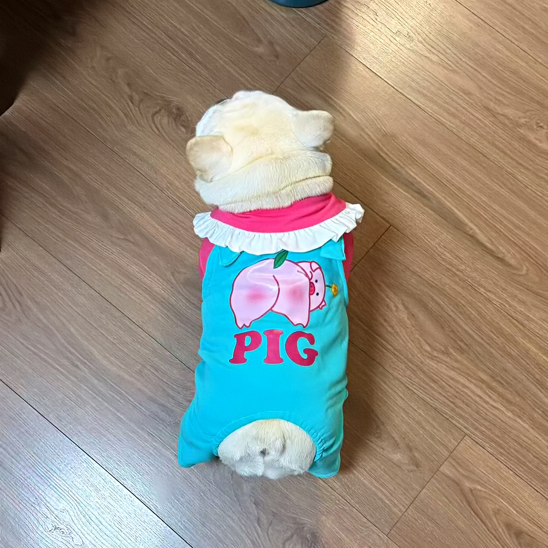 可爱小猪猪四脚衣卫衣FB小众原创