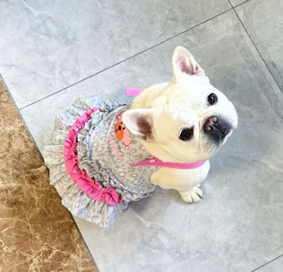 粉色豹纹甜甜背带裙春夏FB小众原创自制法斗狗狗衣服恶霸比熊英斗