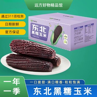 【通过远方311项检测】东北黑糯玉米黑土地的黑珍珠独立真空包装