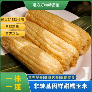 【通过远方315 项检测】东北黑土地种植非转基因真空包装甜糯玉米