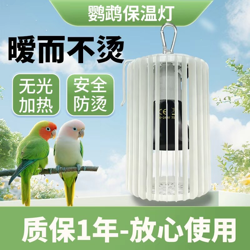 宠物鹦鹉保温灯陶瓷无光蜜袋鼯小鸡鸟用保暖灯防烫伤带灯罩加热灯,宠物/宠物食品及用品,鸟禽其他,淘宝优惠券,粉丝福利购,淘宝优惠卷